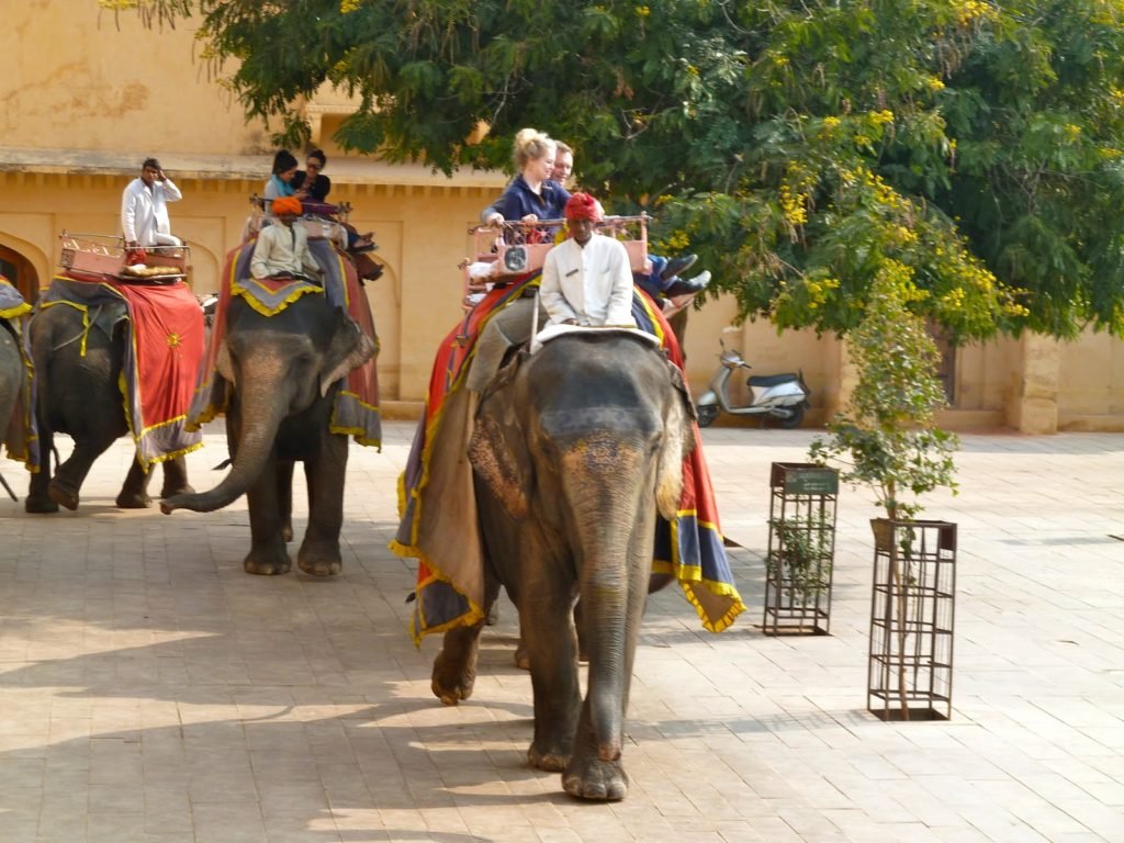 Elephant Ride at Amber Fort