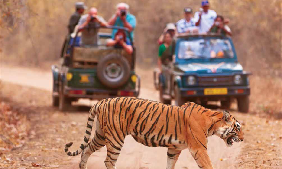 How to Reach Ranthambore - By Air, Train and Road