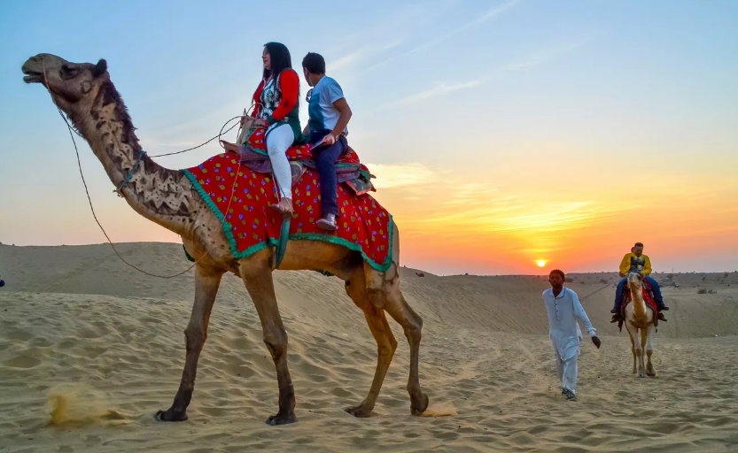 Camel Safari Jaisalmer