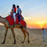 Camel Safari Jaisalmer